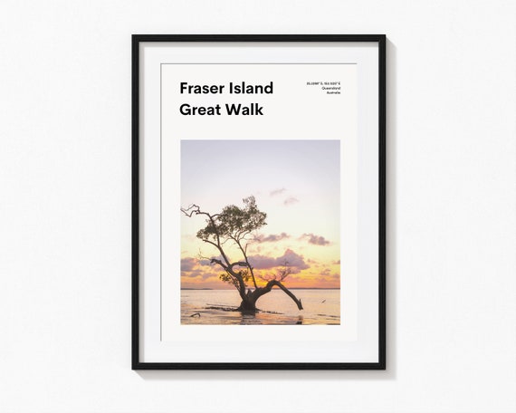 Fraser Island Poster Queensland Australia Lone Tree at Sunset Beach
