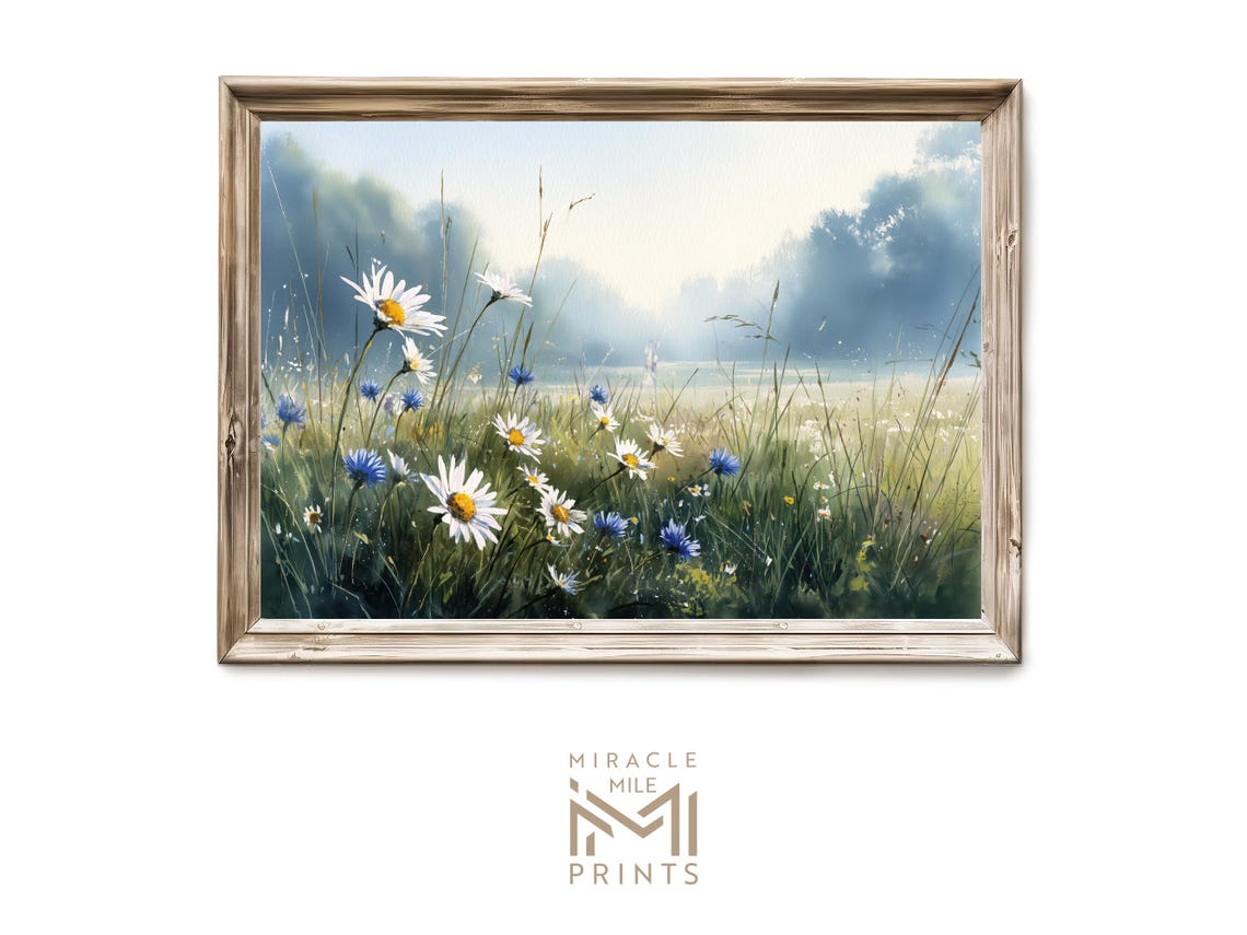 Summer Meadow Wildflowers Daisy Cornflower Watercolor Art Poster