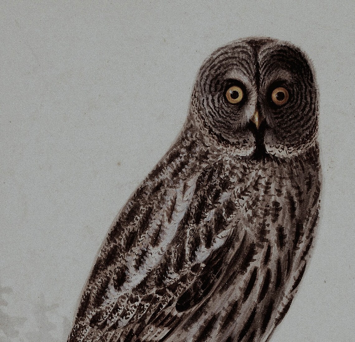 Moody Grey Owl Perched on Stump in Misty Watercolor Wildlife Poster - Image 2
