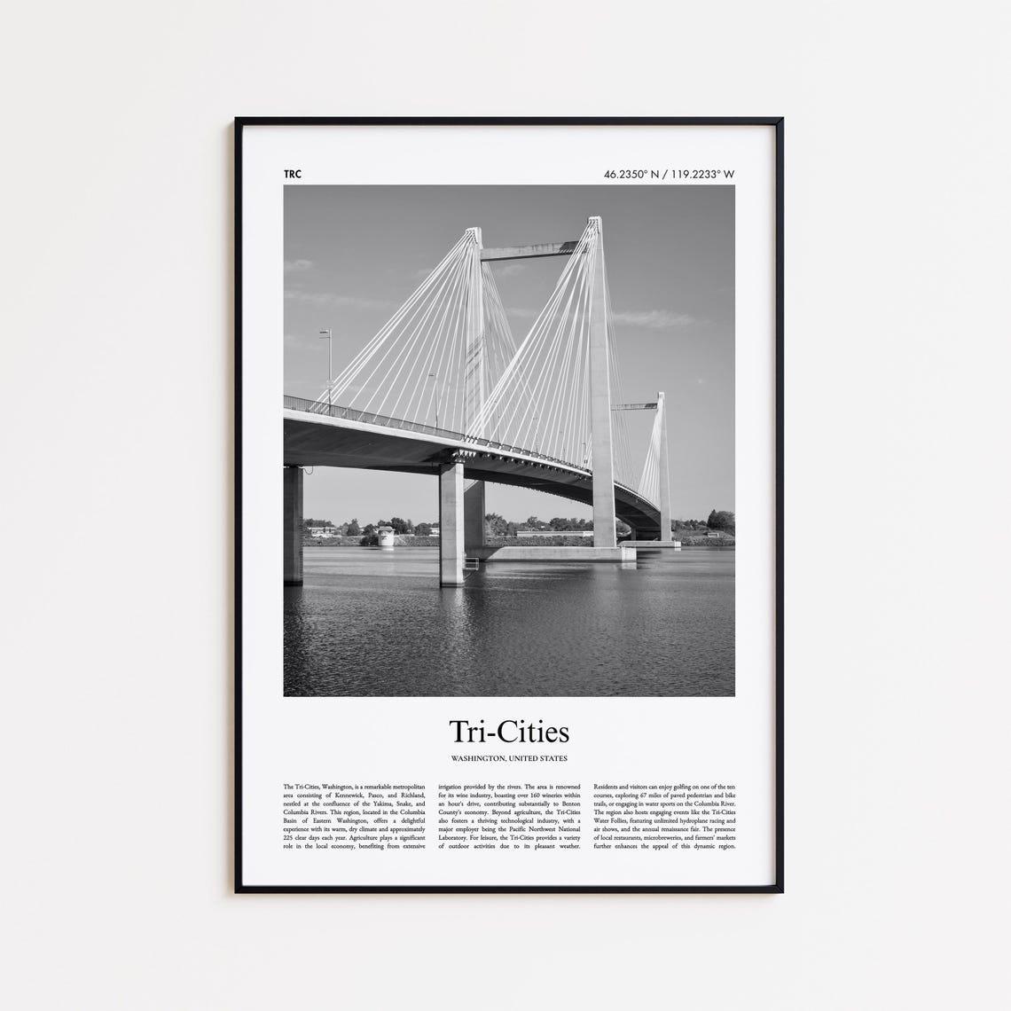 Tri-Cities Washington Cable-Stayed Bridge Black and White Photo Poster