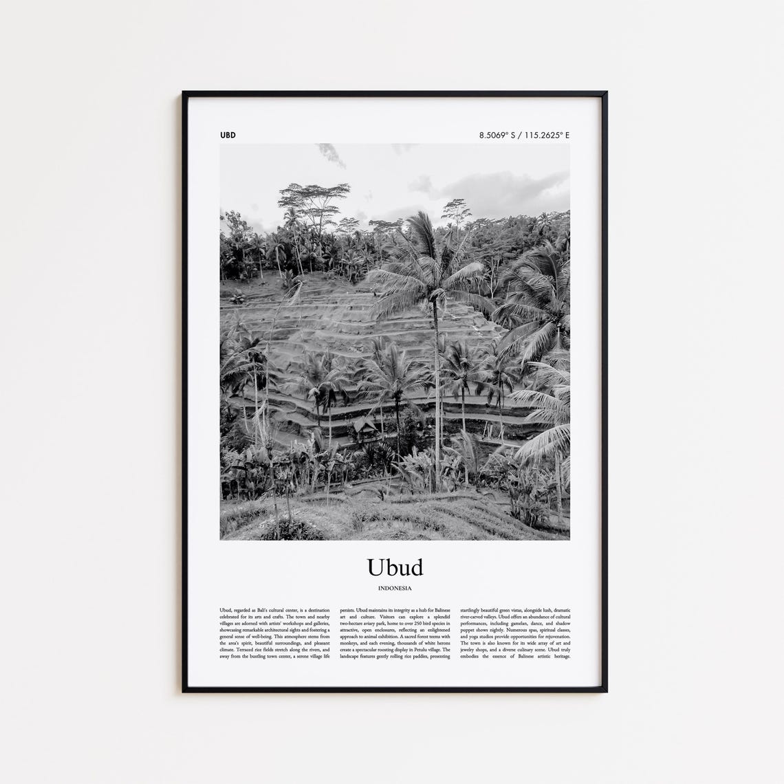 Ubud Bali Indonesia Black and White Rice Terrace Photo Poster