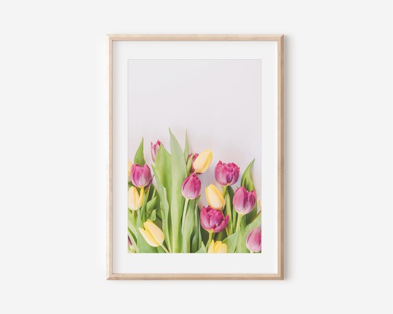 Pink Yellow Tulips Spring Flowers Minimal Floral Photo Poster