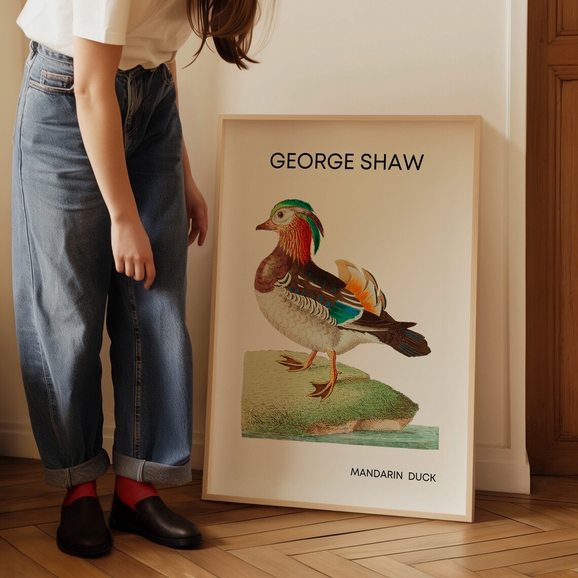 George Shaw Mandarin Duck Vintage Bird Illustration Art Poster - Image 3
