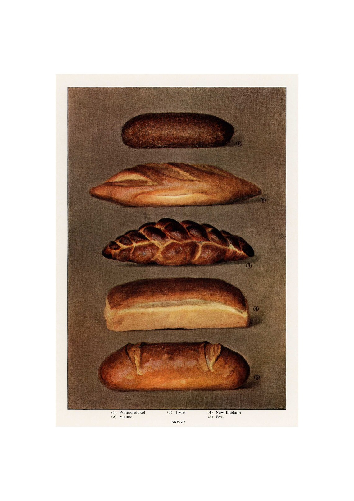 Bread Antique Lithograph, Vintage Grocery Encyclopedia