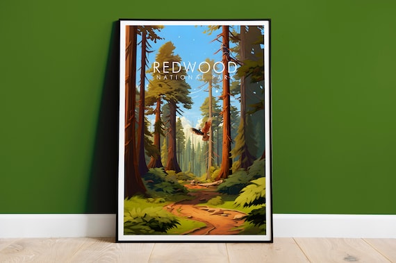 Redwood National Park Towering Giant Trees Forest Trail Nature Poster