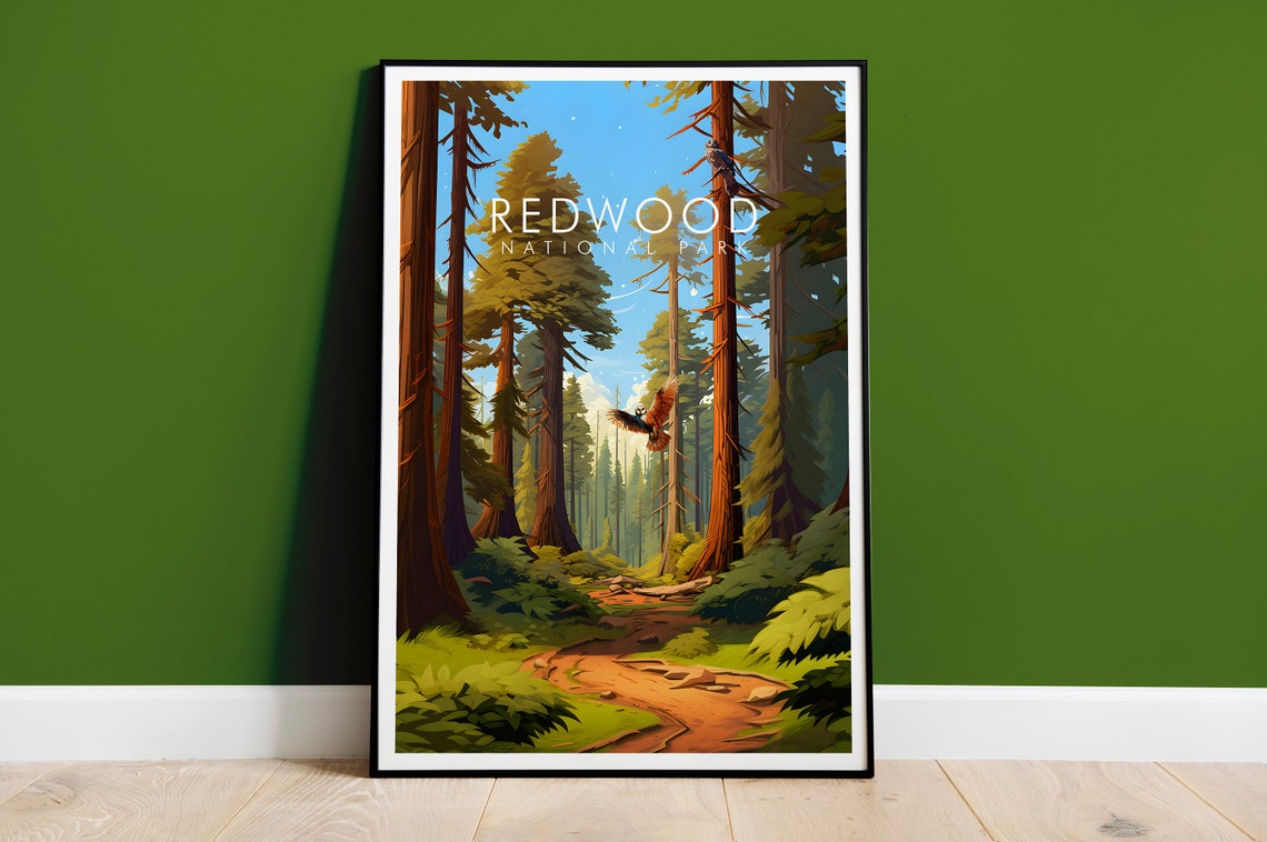 Redwood National Park Towering Giant Trees Forest Trail Nature Poster