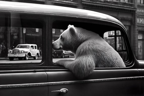 Bear Riding In A Car In New York City Bear Comes To Town Funny Animal Vintage Photo Retro Bear Humor Wall Art Ai Art