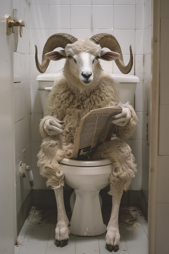 Ram Sitting On The Toilet Reading A Newspaper Funny Bathroom Humor Bighorn Sheep Funny Animal Print Home Ai Print