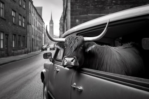 Highland Cow Riding In A Car In New York City Cow Comes To Town Funny Animal Vintage Photo Retro Cow Print Wall Art Ai Art
