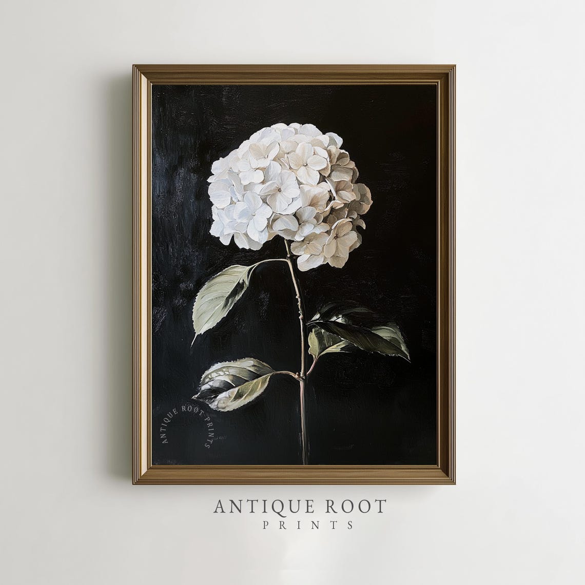 White Hydrangea Bloom Vintage Poster Black Background Botanical Art