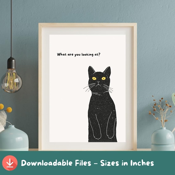 Black Cat What Are You Looking At Sassy Feline Quote Art Poster