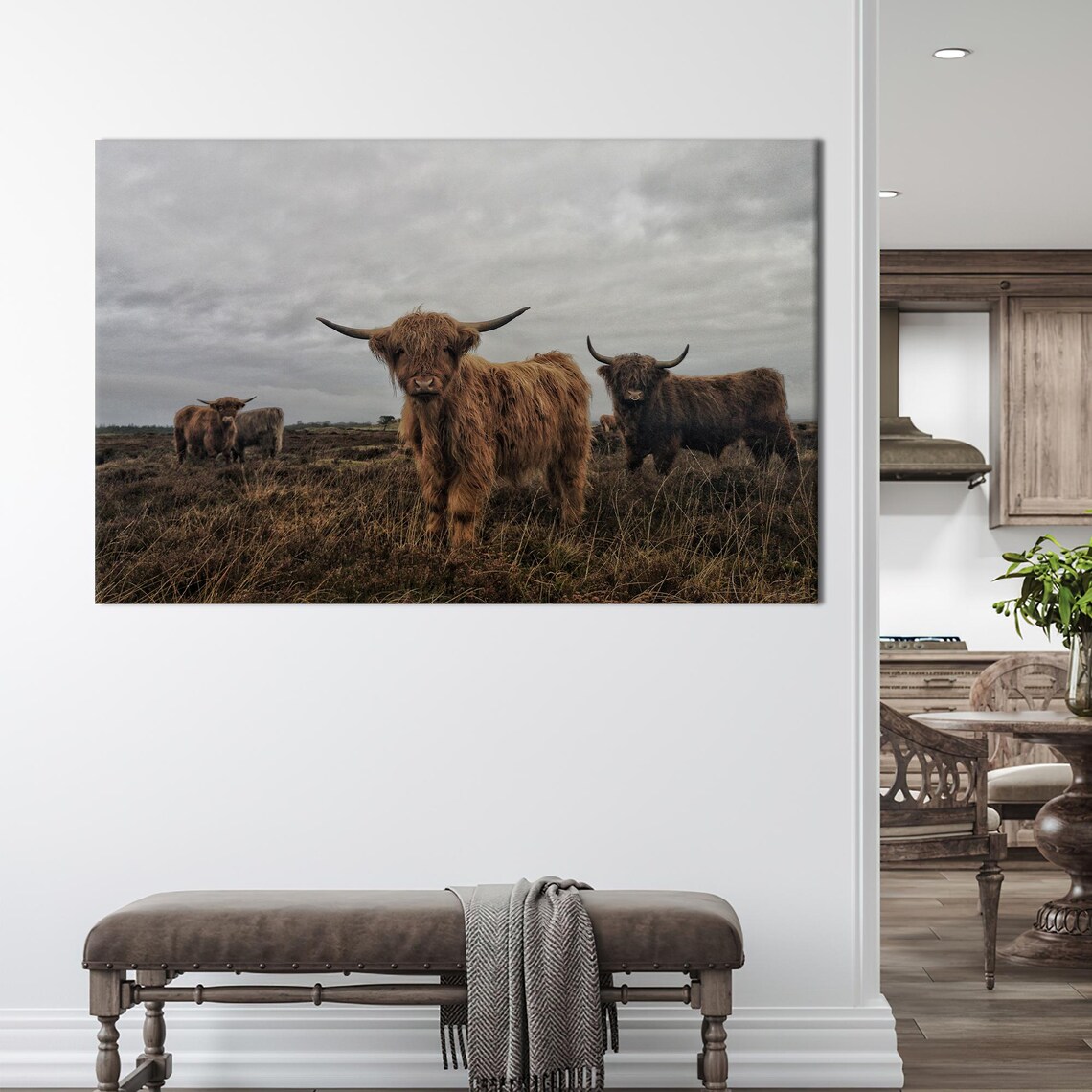 Highland Cows in the Field Rustic Farm Photography Cattle Poster