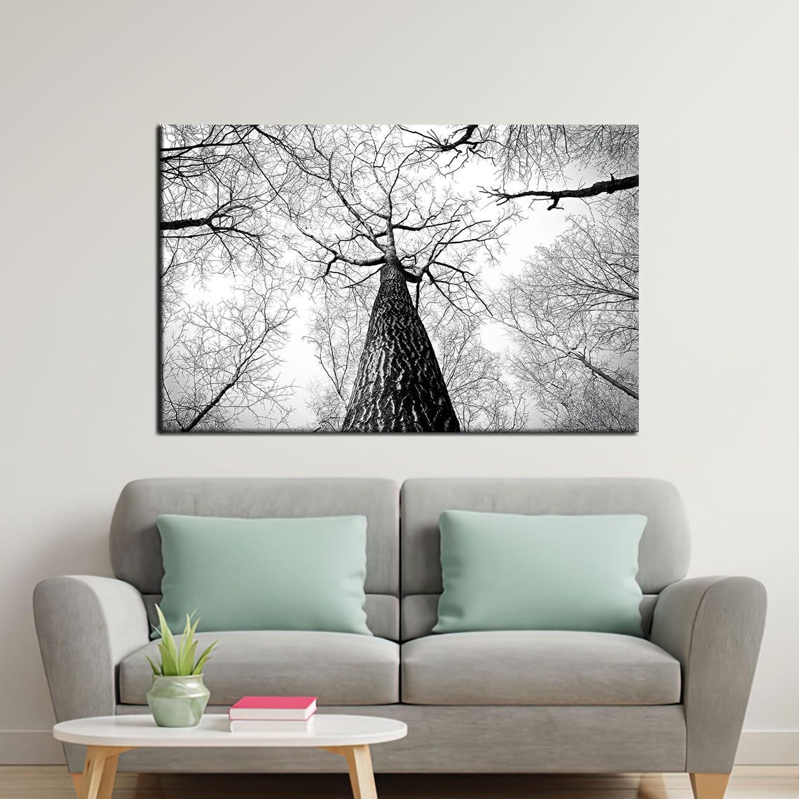 Black And White Forest Canopy Looking Up Tall Bare Trees Photo Poster