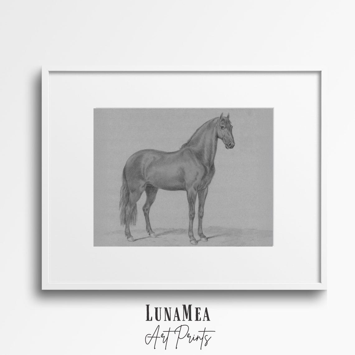 Antique Horse Pencil Drawing Vintage Equestrian Sketch Study Wall Art - Image 2