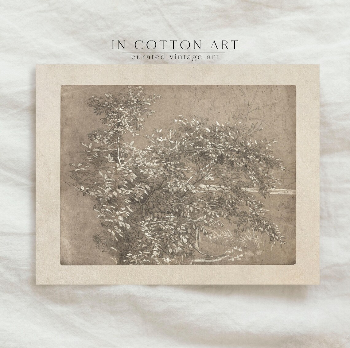Vintage Foliage Sketch Art Print, Neutral Botanical