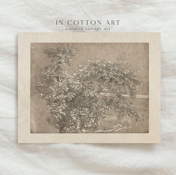 Vintage Foliage Sketch Art Print, Neutral Botanical