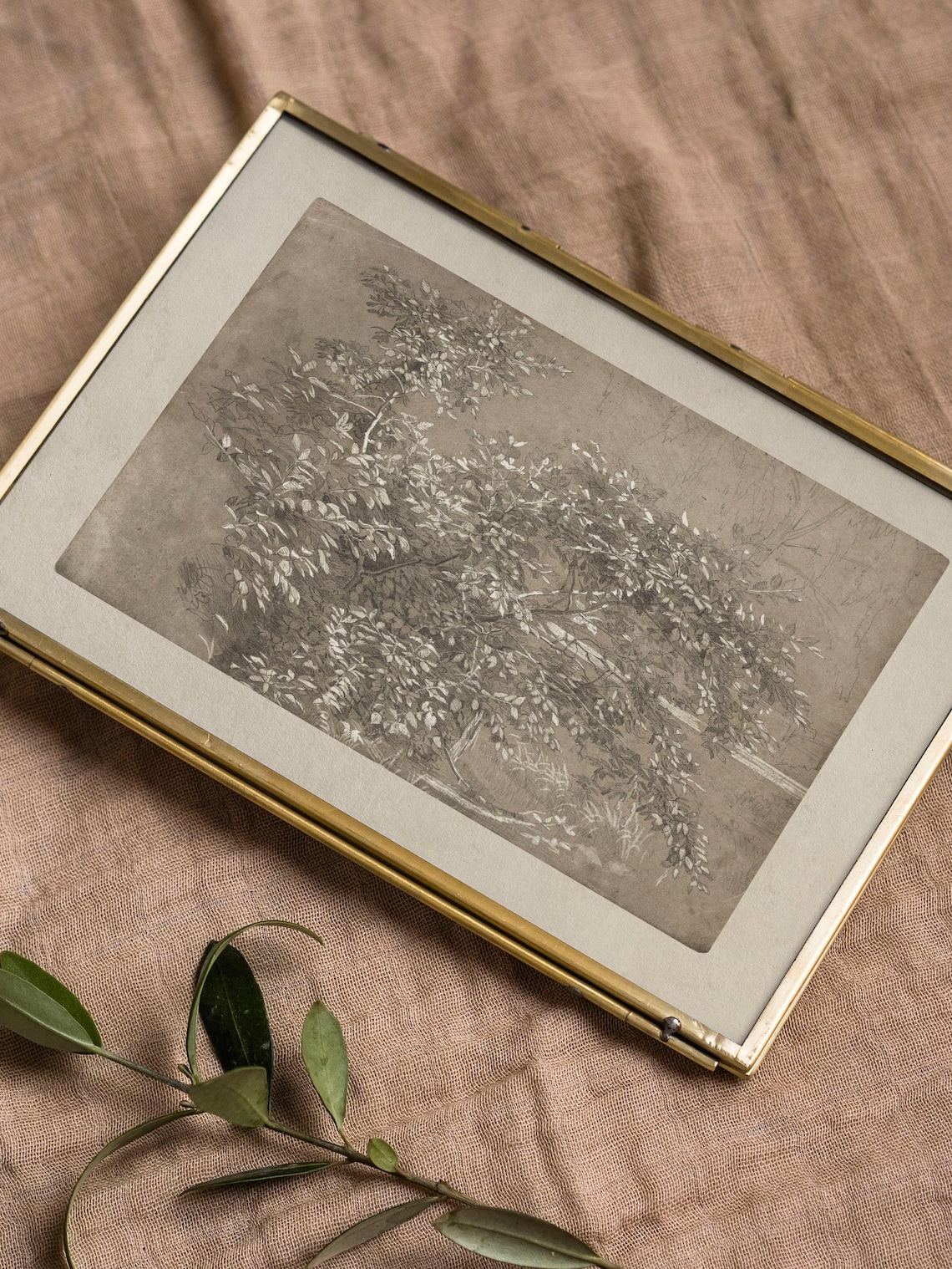 Vintage Foliage Sketch Art Print, Neutral Botanical - Image 2