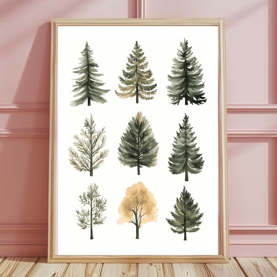 Nine Watercolor Evergreen Trees Botanical Study Holiday Poster