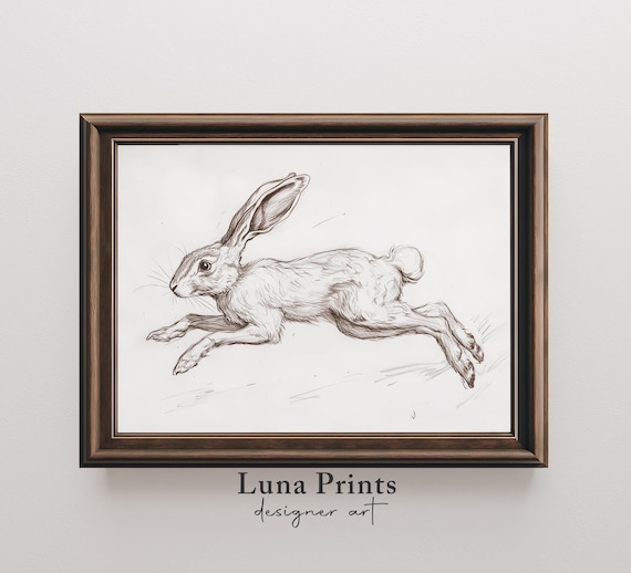 Spring Bunny Art Easter Rabbit Sketch Poster