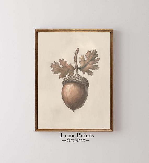 Vintage Acorn Illustration Art Botanical Artwork Fall Kitchen