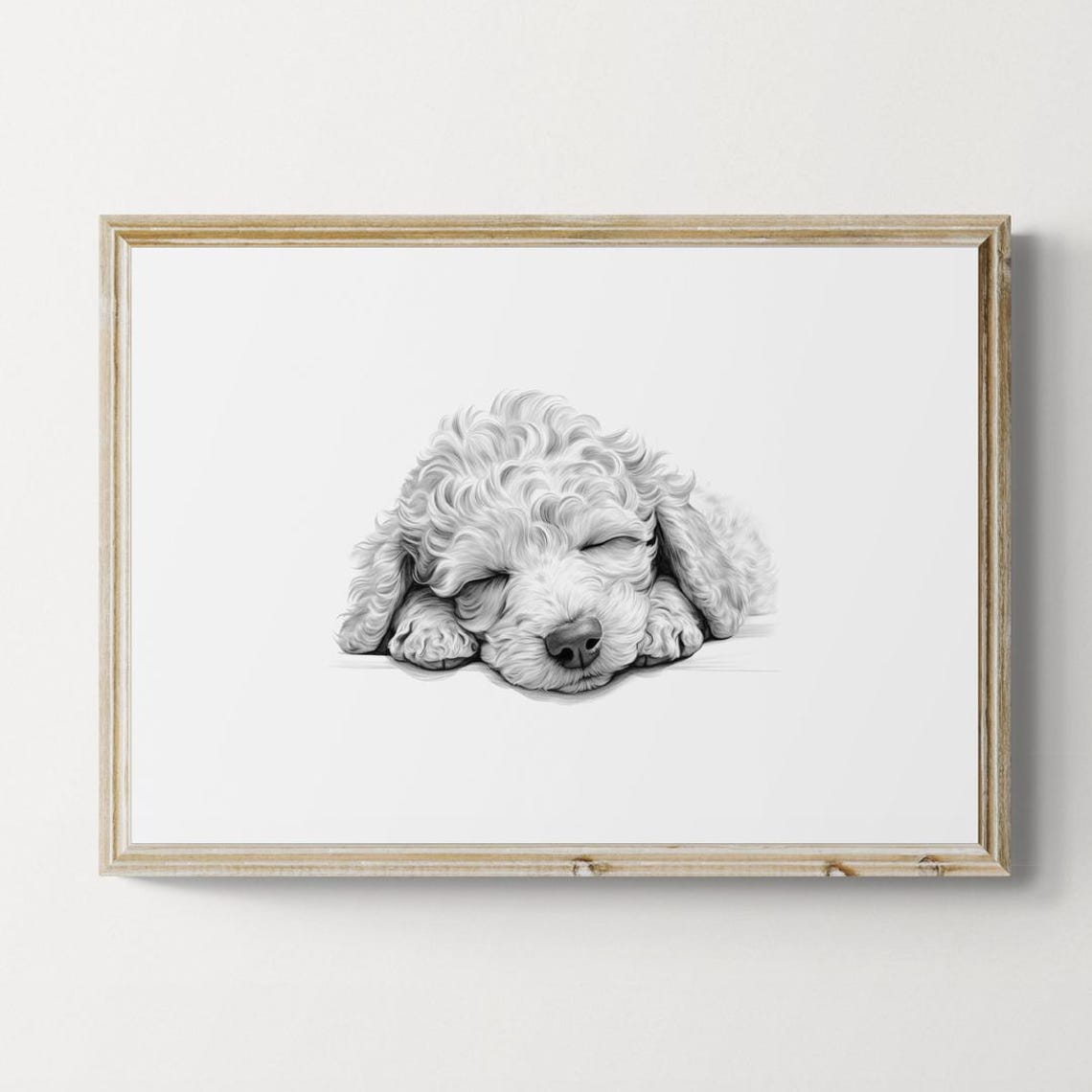 Poodle Puppy Sleeping Vintage Pencil Sketch Curly Dog Breed Wall Art