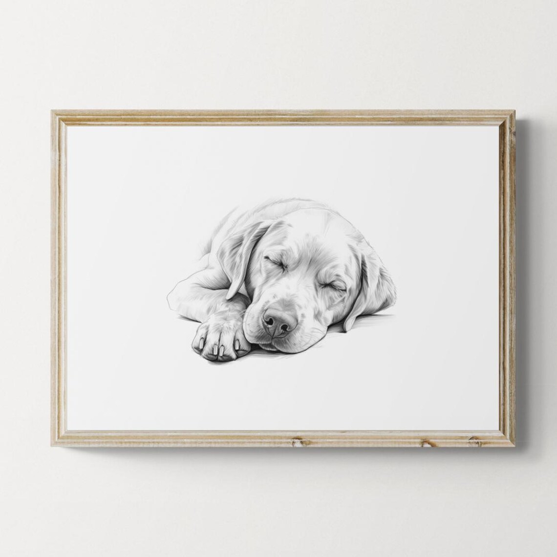 Sleeping Labrador Retriever, Vintage Farmhouse Sketch Print
