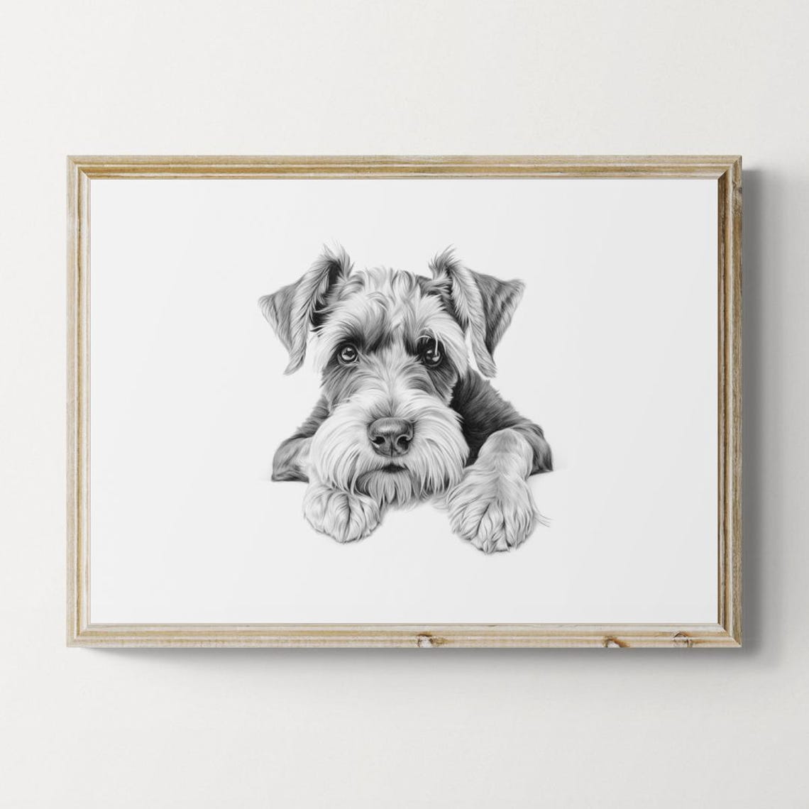 Schnauzer Bearded Face Puppy Sketch Lying Down Vintage Dog Poster