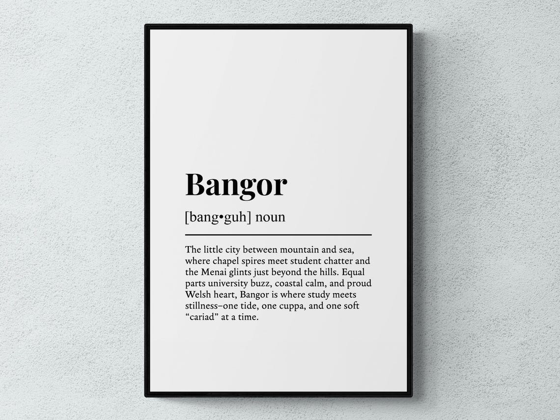 Bangor Wales Funny Dictionary Definition University City Poster