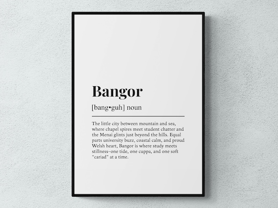 Bangor Wales Funny Dictionary Definition University City Poster