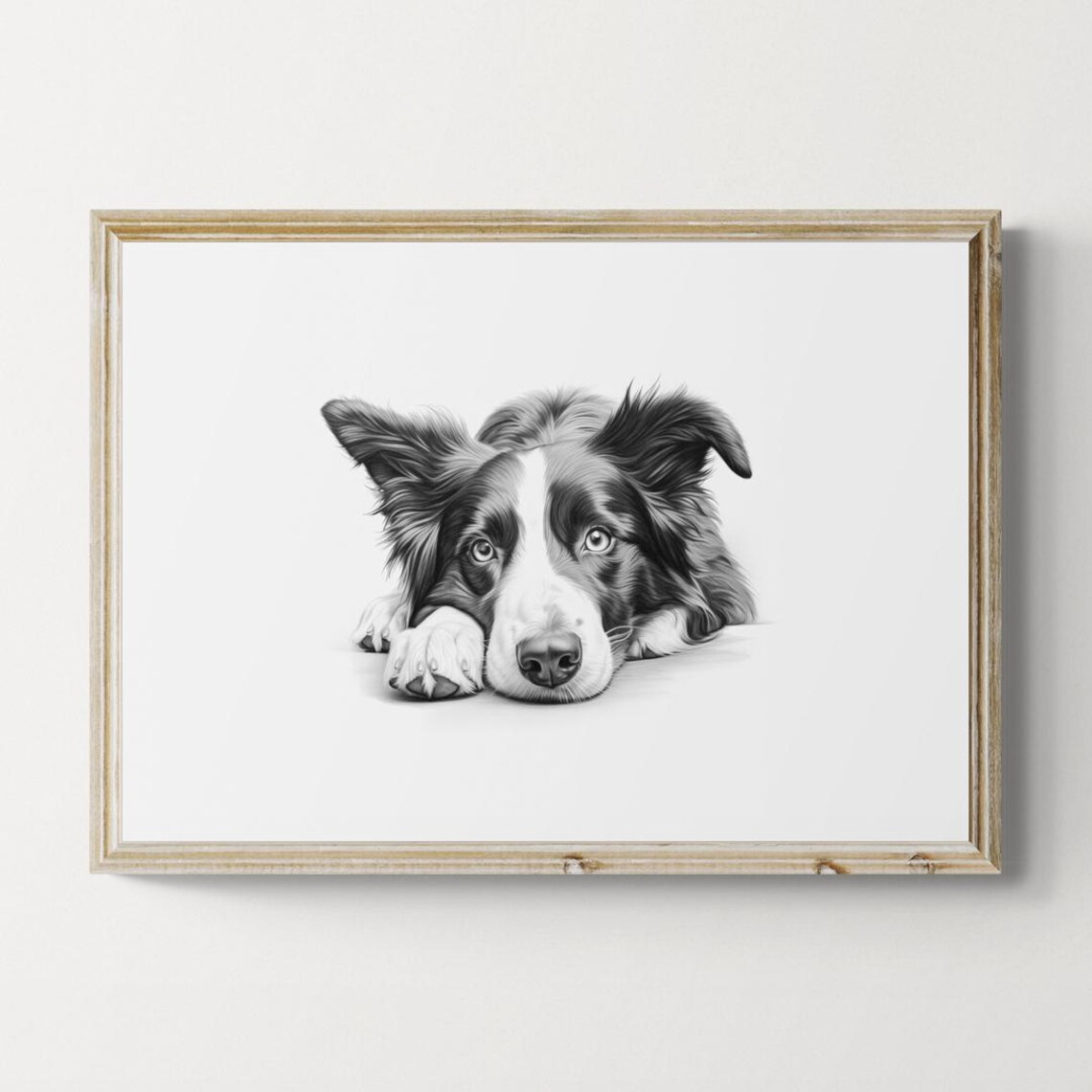 Border Collie Vintage Dog Sketch, Farmhouse Art Print