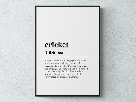 Cricket Funny Definition Poster Print, Game Room