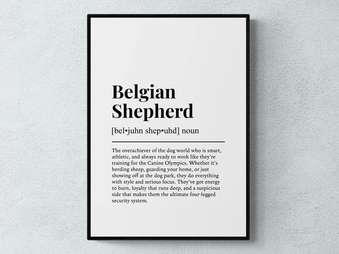 Belgian Shepherd Funny Dictionary Definition Typography Poster