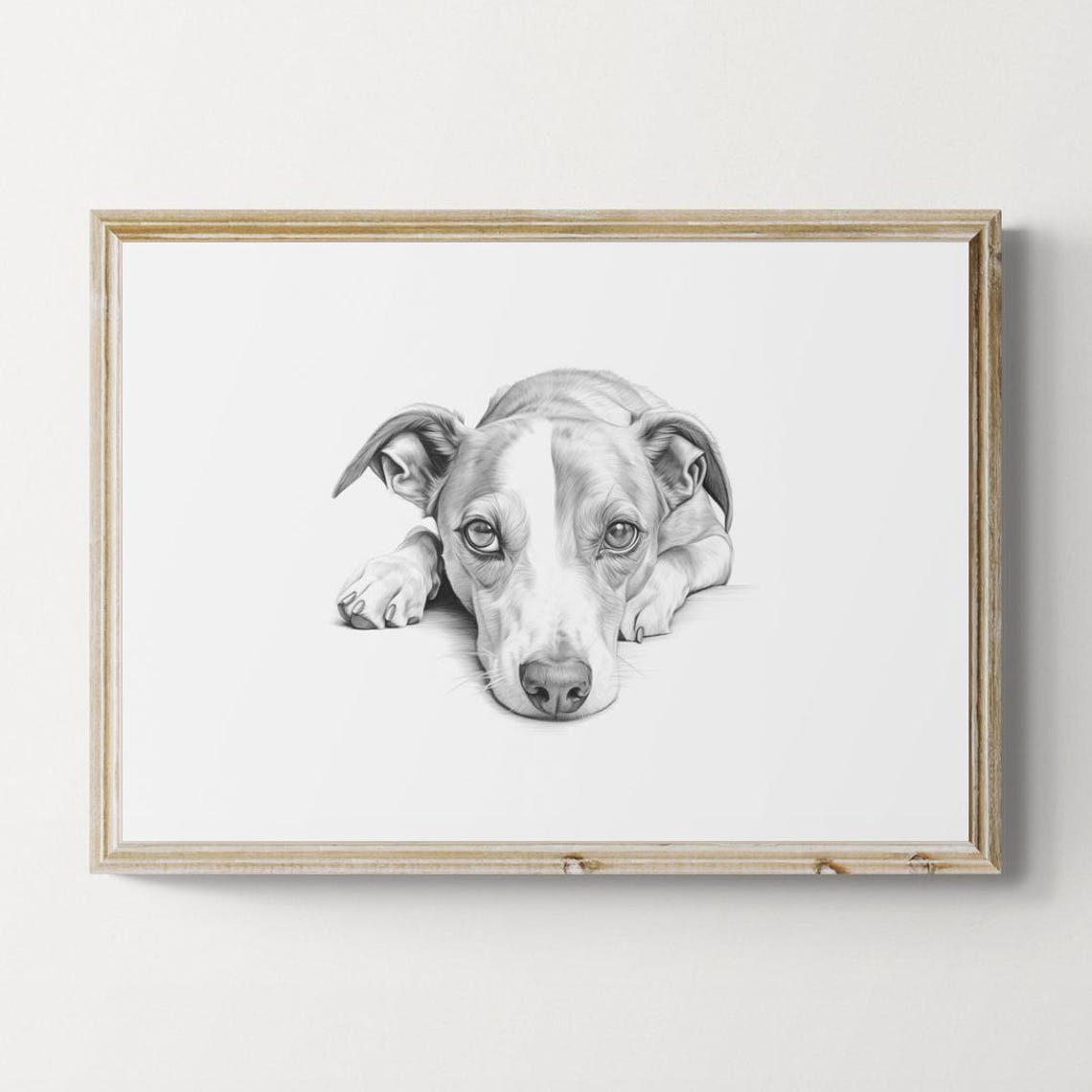 Whippet Lean Elegant Dog Sketch Lying Down Vintage Dog Poster