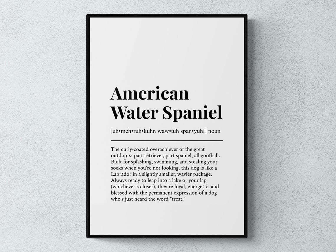 American Water Spaniel Curly Coated Goofball Dictionary Poster