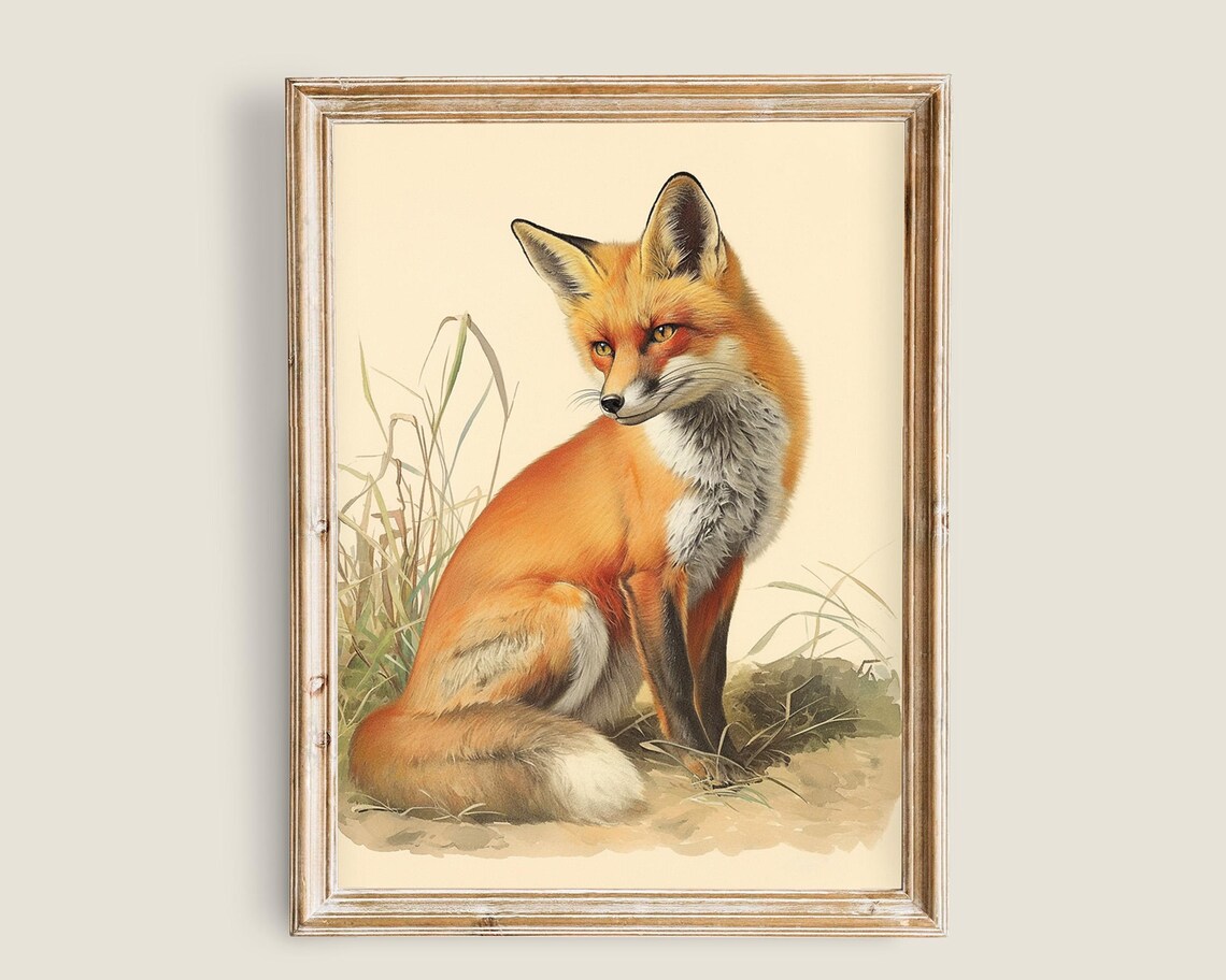 Red Fox Sitting Profile Light Cream Vintage Naturalist Wildlife Art Poster
