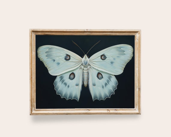 Blue Butterfly Vintage Butterfly Print Light Academia Decor Art Antique Moth Insect Art Moody Dark Prints
