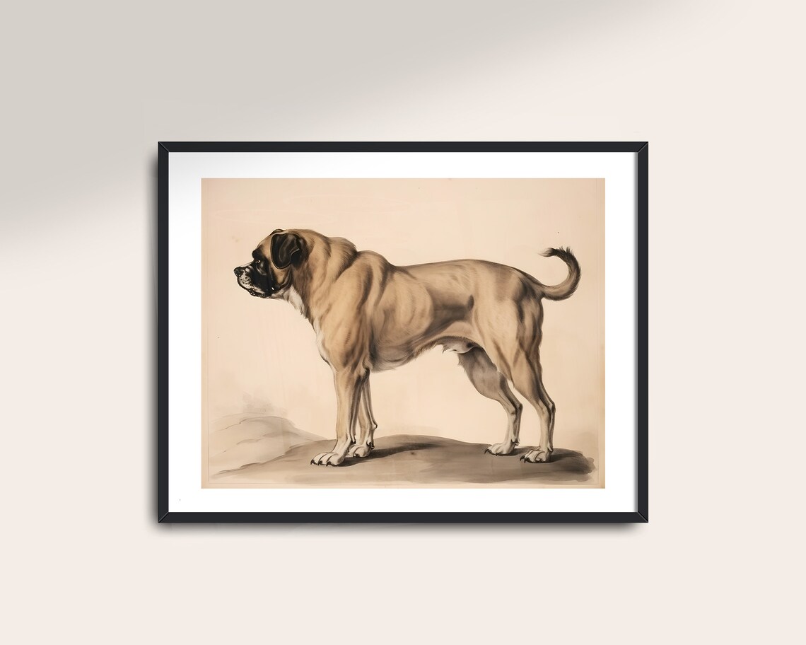 Vintage Mastiff Dog Antique Sketch Art Print - Image 2