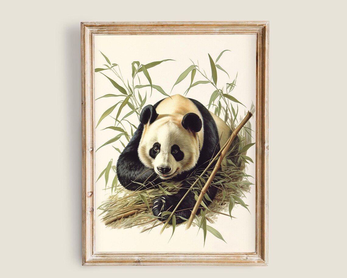 Giant Panda Bamboo Vintage Wildlife Illustration Nursery Wall Art Poster
