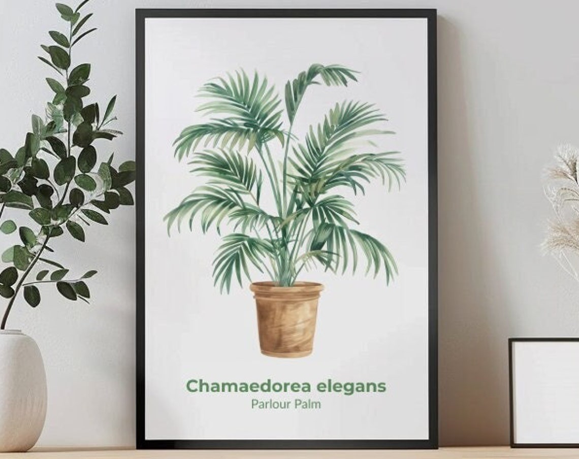 Parlour Palm Chamaedorea Elegans Fronds Watercolor Botanical Poster