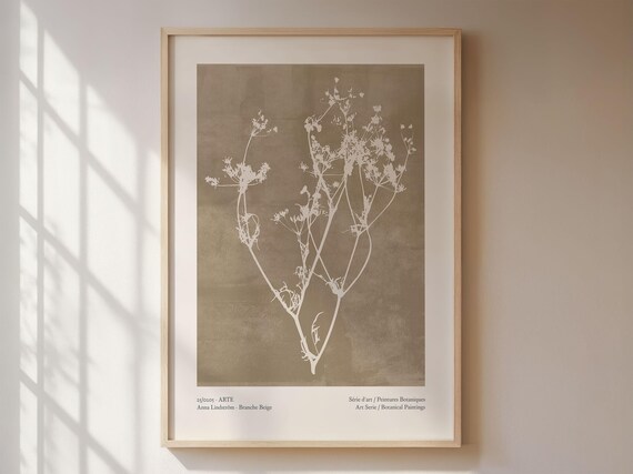 Nordic Botanical Illustration, Vintage Art Print