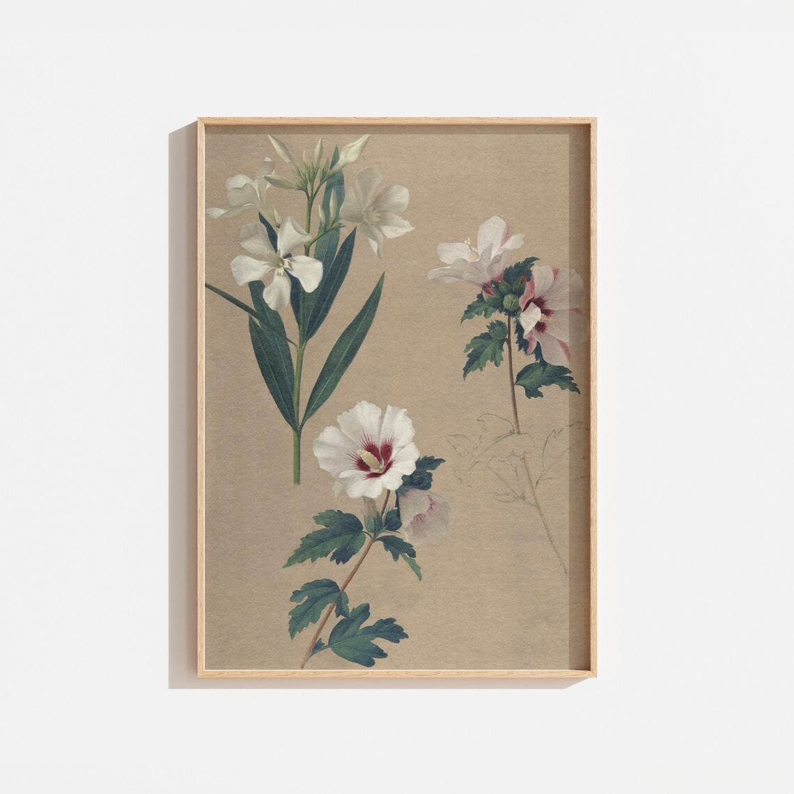 Vintage Neutral Botanical Art Print, White and Green Flowers