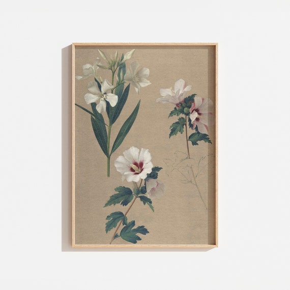 Vintage Neutral Botanical Art Print, White and Green Flowers