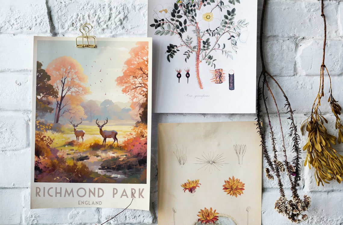 Richmond Park London Stags Autumn Meadow Morning Light Poster - Image 4