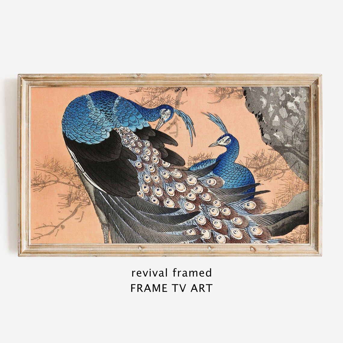 Japanese Woodblock of Two Peacocks on Pine Branch Art Poster