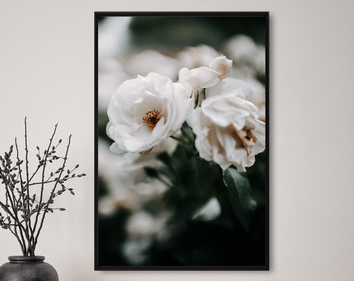 White Roses Blossoms Dark Moody Garden Flower Photography Poster