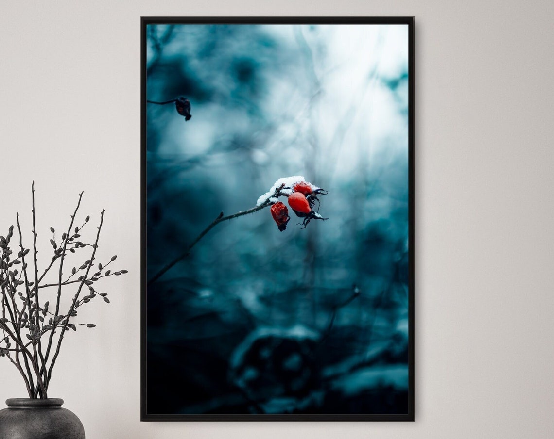 Snow-Dusted Red Rose Hips Glowing Against a Cold Blue Winter Poster - Image 3