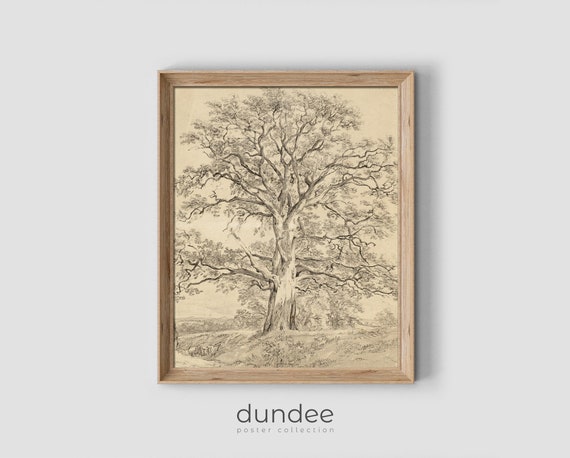 Vintage Print Country Tree Painting Rustic Tree Painting Vintage Pencil Drawing Vintage Tree Picture Antique Country Decor