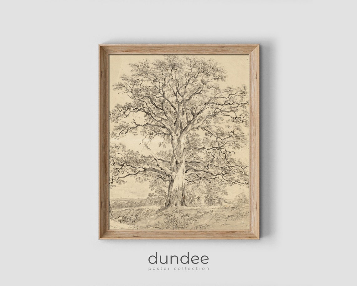 Towering Old Oak Tree Vintage Botanical Pencil Sketch Poster