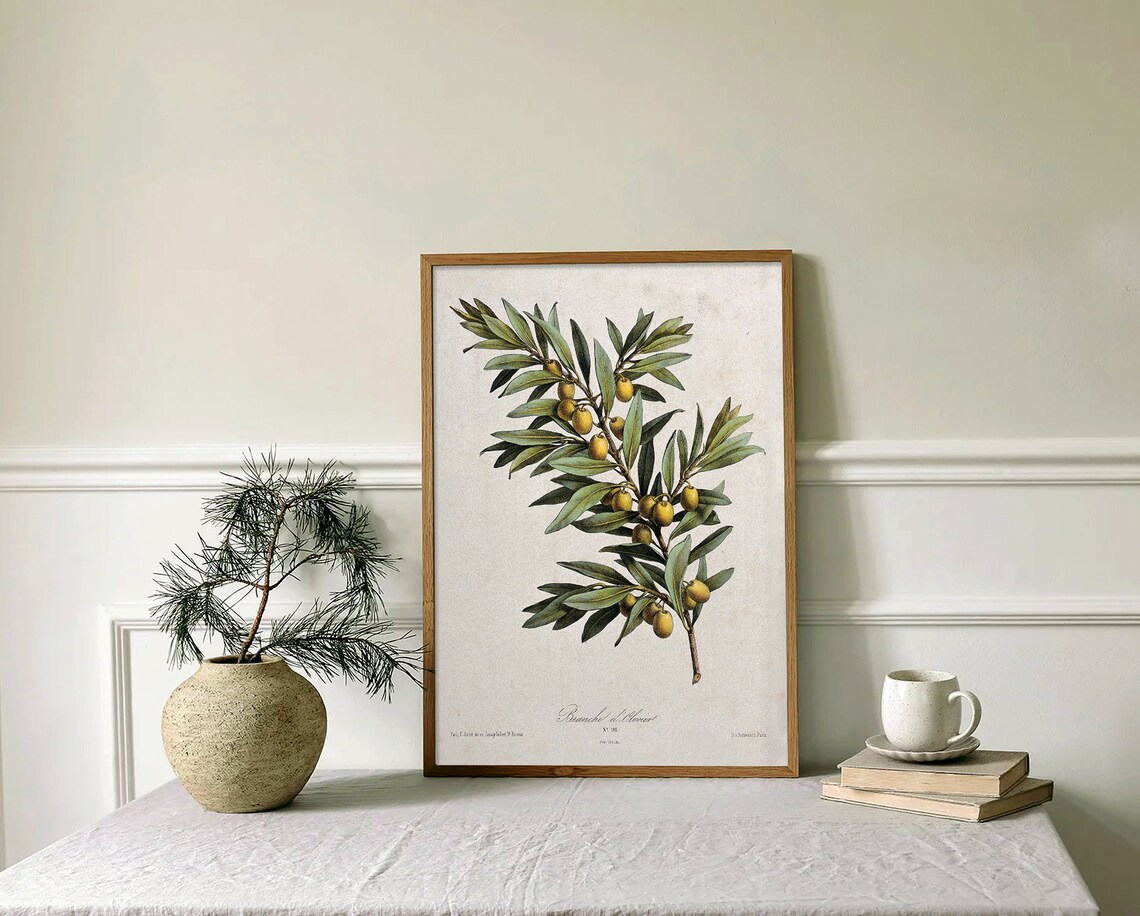 Olive Branch Botanical Plate with Yellow Olives Vintage Poster - Image 2
