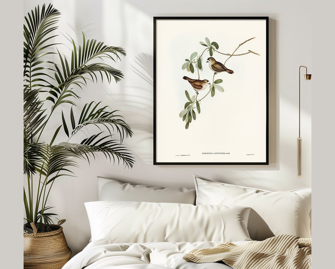 Two Small Birds Leafy Branch Antique Vintage Ornithology Art Poster - Image 3